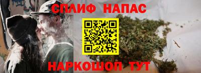 ALPHA PVP Моздок
