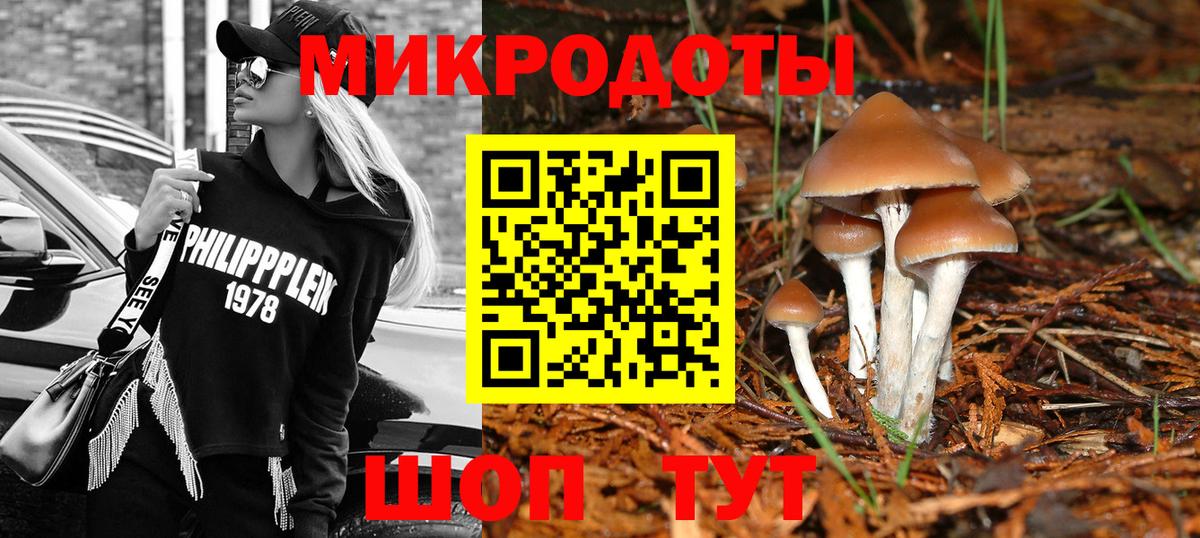 Галлюциногенные грибы MAGIC MUSHROOMS  Галлюциногенные грибы Magic Shrooms  Стерлитамак  Вход с VPN 